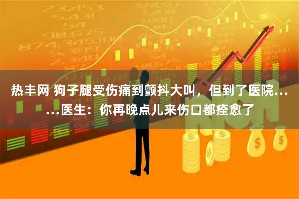 热丰网 狗子腿受伤痛到颤抖大叫，但到了医院……医生：你再晚点儿来伤口都痊愈了