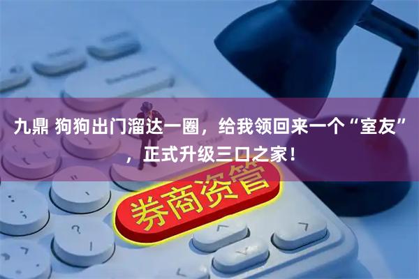 九鼎 狗狗出门溜达一圈，给我领回来一个“室友”，正式升级三口之家！