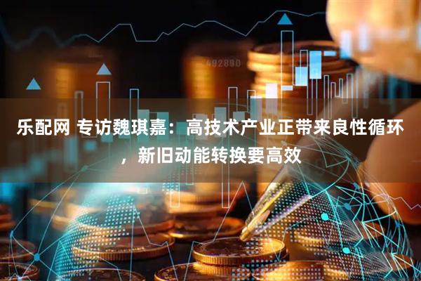 乐配网 专访魏琪嘉:高技术产业正带来良性循环,新旧动能转换要高效